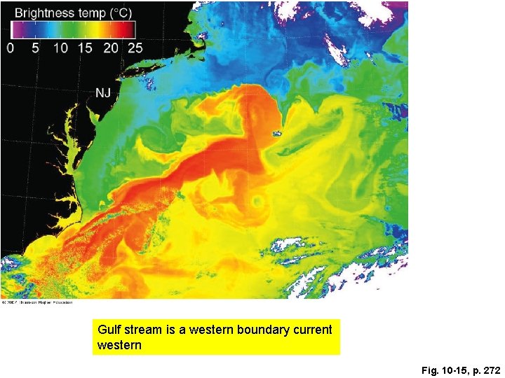 Gulf stream is a western boundary current western Fig. 10 -15, p. 272 