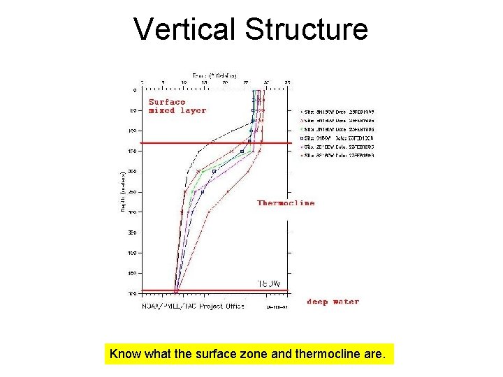 Vertical Structure Know what the surface zone and thermocline are. 