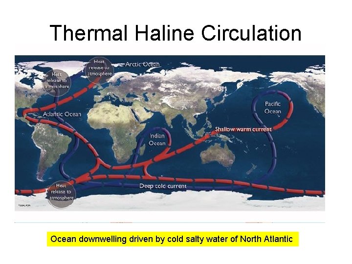 Thermal Haline Circulation Ocean downwelling driven by cold salty water of North Atlantic 