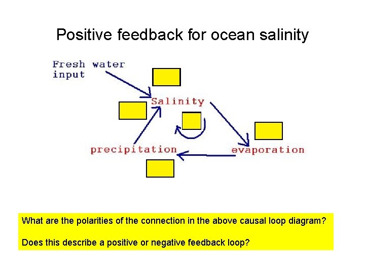 Positive feedback for ocean salinity What are the polarities of the connection in the