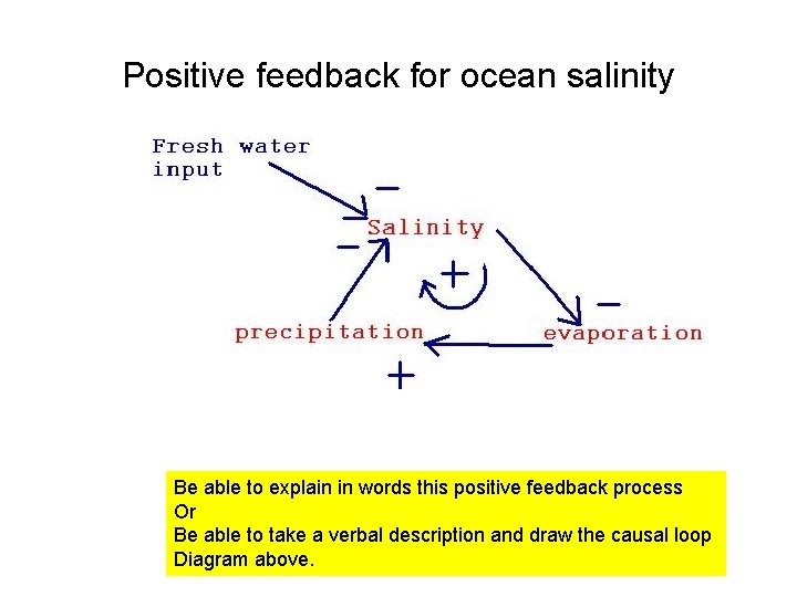 Positive feedback for ocean salinity Be able to explain in words this positive feedback