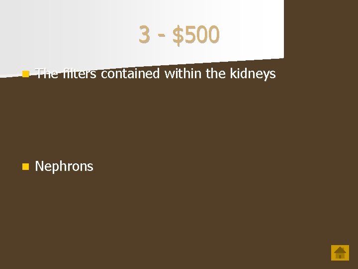 3 - $500 n The filters contained within the kidneys n Nephrons 