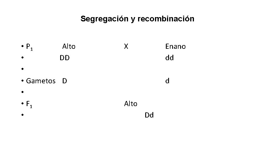 Segregación y recombinación • P 1 Alto • DD • • Gametos D •