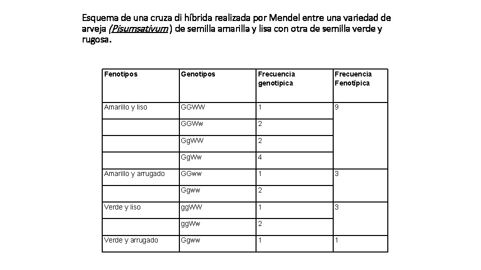 Esquema de una cruza di híbrida realizada por Mendel entre una variedad de arveja