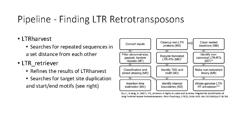 Pipeline - Finding LTR Retrotransposons • LTRharvest • Searches for repeated sequences in a