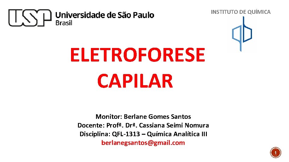 INSTITUTO DE QUÍMICA ELETROFORESE CAPILAR Monitor: Berlane Gomes Santos Docente: Profª. Drª. Cassiana Seimi