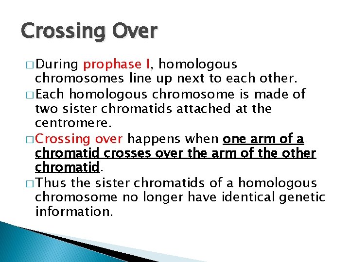 Crossing Over � During prophase I, homologous chromosomes line up next to each other.