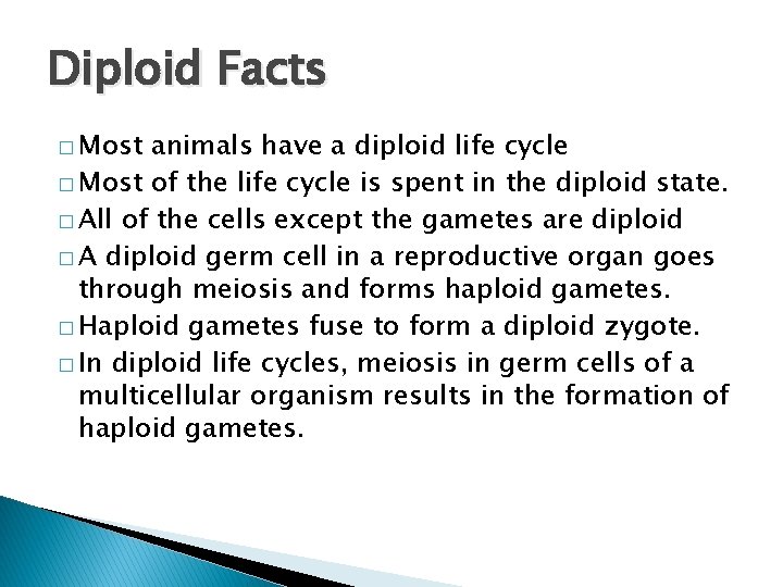 Diploid Facts � Most animals have a diploid life cycle � Most of the