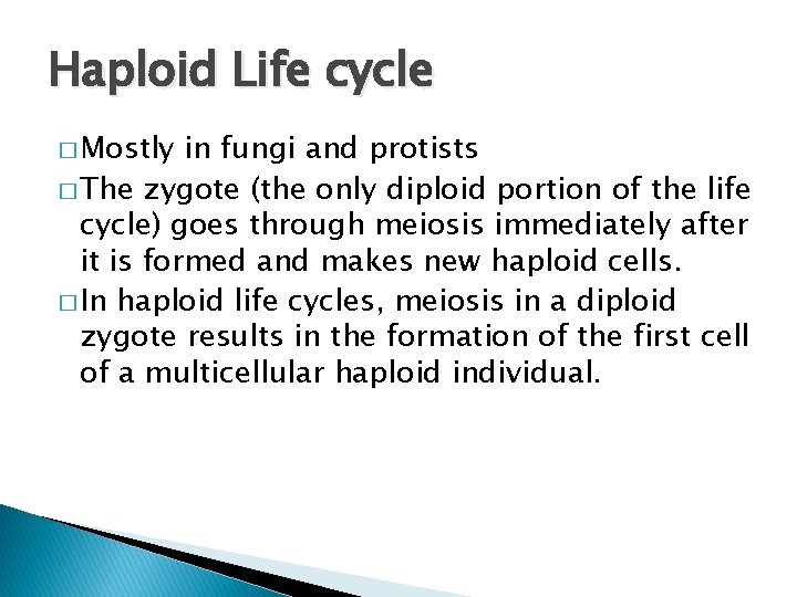 Haploid Life cycle � Mostly in fungi and protists � The zygote (the only