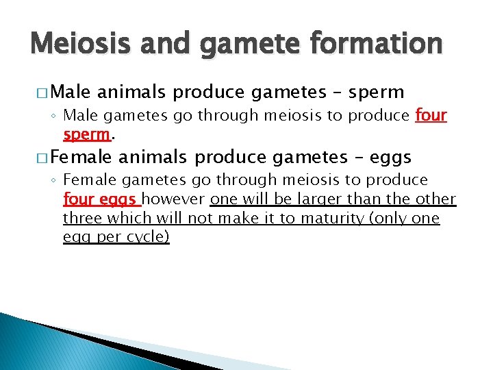 Meiosis and gamete formation � Male animals produce gametes – sperm ◦ Male gametes