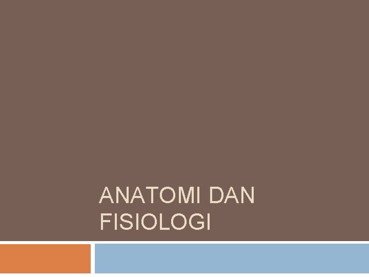 ANATOMI DAN FISIOLOGI 