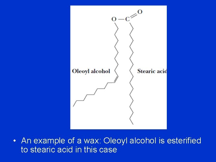  • An example of a wax: Oleoyl alcohol is esterified to stearic acid