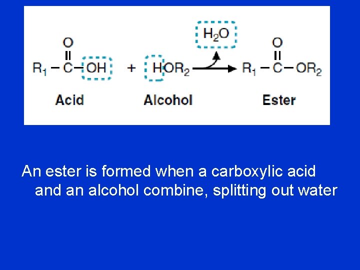 An ester is formed when a carboxylic acid an alcohol combine, splitting out water