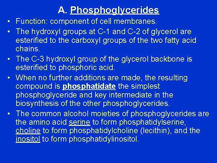 A. Phosphoglycerides • Function: component of cell membranes. • The hydroxyl groups at C-1