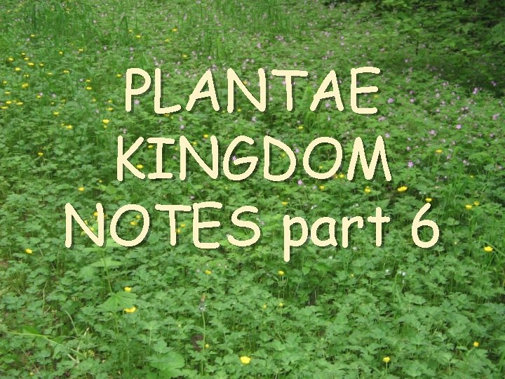 PLANTAE KINGDOM NOTES part 6 