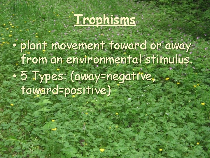 Trophisms • plant movement toward or away from an environmental stimulus. • 5 Types: