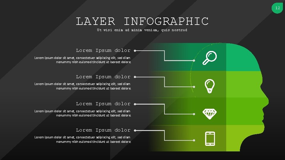 12 LAYER INFOGRAPHIC Ut wisi enim ad minim veniam, quis nostrud Lorem Ipsum dolor