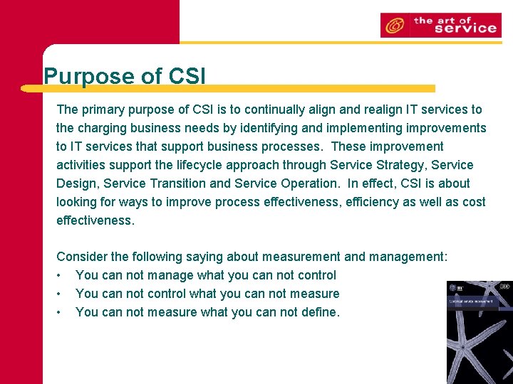 Purpose of CSI The primary purpose of CSI is to continually align and realign