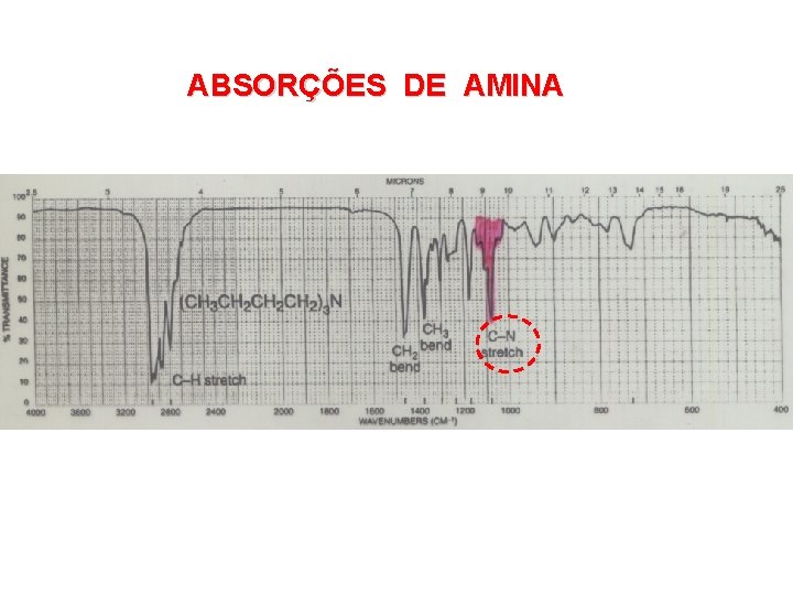 ABSORÇÕES DE AMINA 