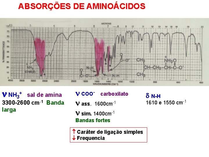 ABSORÇÕES DE AMINOÁCIDOS NH 3+ sal de amina 3300 -2600 cm-1 Banda larga COO-