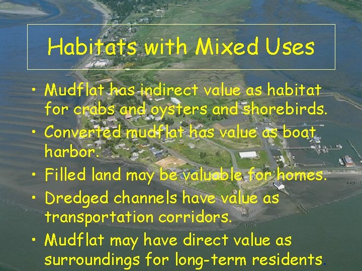 Habitats with Mixed Uses • Mudflat has indirect value as habitat for crabs and Habitats with Mixed Uses • Mudflat has indirect value as habitat for crabs and