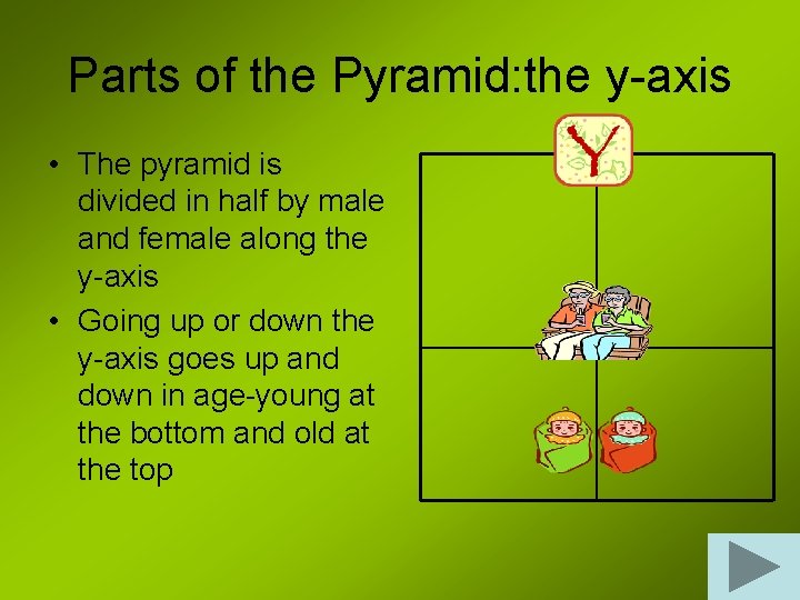 Parts of the Pyramid: the y-axis • The pyramid is divided in half by