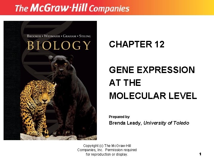 CHAPTER 12 GENE EXPRESSION AT THE MOLECULAR LEVEL