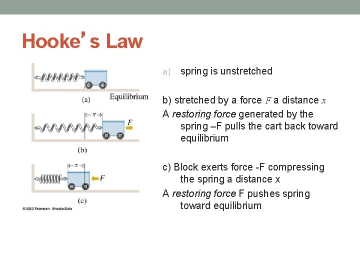 Hooke’s Law a) spring is unstretched b) stretched by a force F a distance