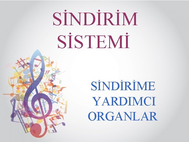 SİNDİRİM SİSTEMİ SİNDİRİME YARDIMCI ORGANLAR 