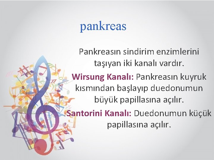 pankreas Pankreasın sindirim enzimlerini taşıyan iki kanalı vardır. Wirsung Kanalı: Pankreasın kuyruk kısmından başlayıp
