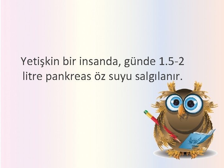 Yetişkin bir insanda, günde 1. 5 -2 litre pankreas öz suyu salgılanır. 