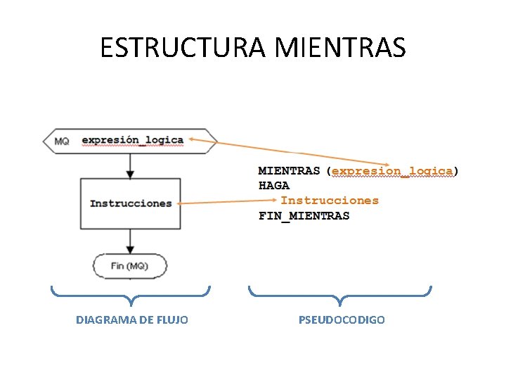 ESTRUCTURA MIENTRAS DIAGRAMA DE FLUJO PSEUDOCODIGO 