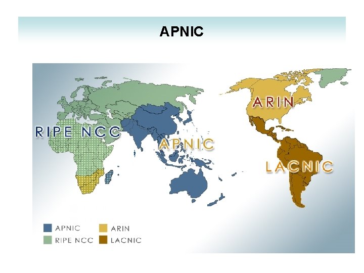 APNIC APNIC