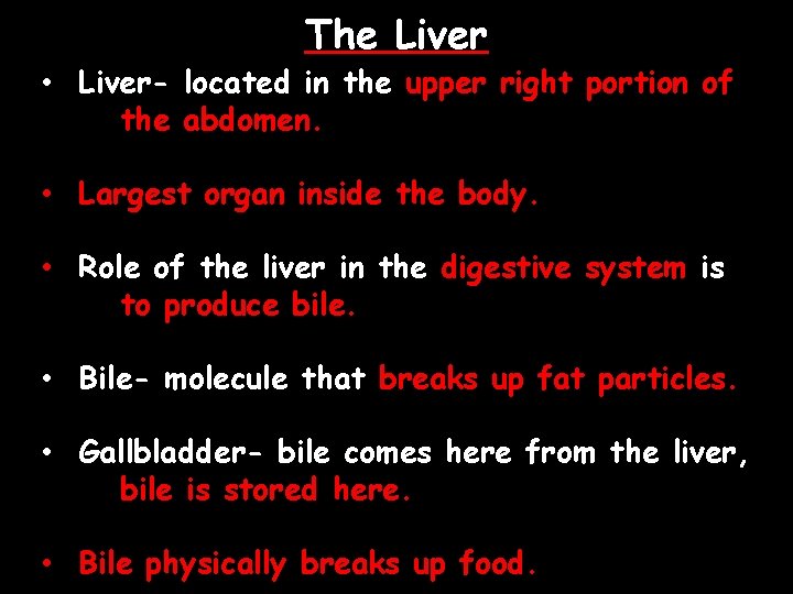 The Liver • Liver- located in the upper right portion of the abdomen. •