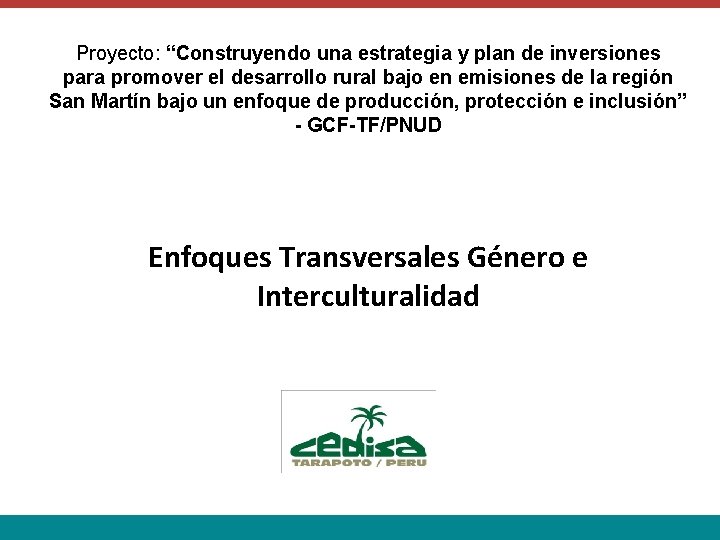 Proyecto: “Construyendo una estrategia y plan de inversiones para promover el desarrollo rural bajo