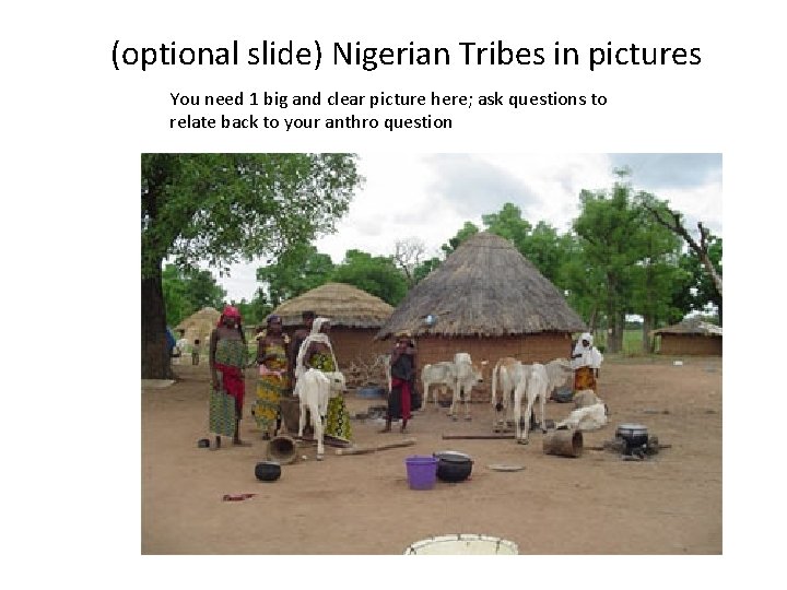 (optional slide) Nigerian Tribes in pictures You need 1 big and clear picture here;