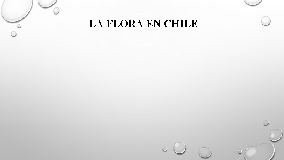 LA FLORA EN CHILE 