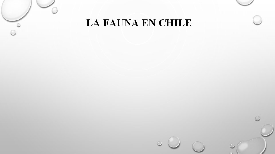 LA FAUNA EN CHILE 