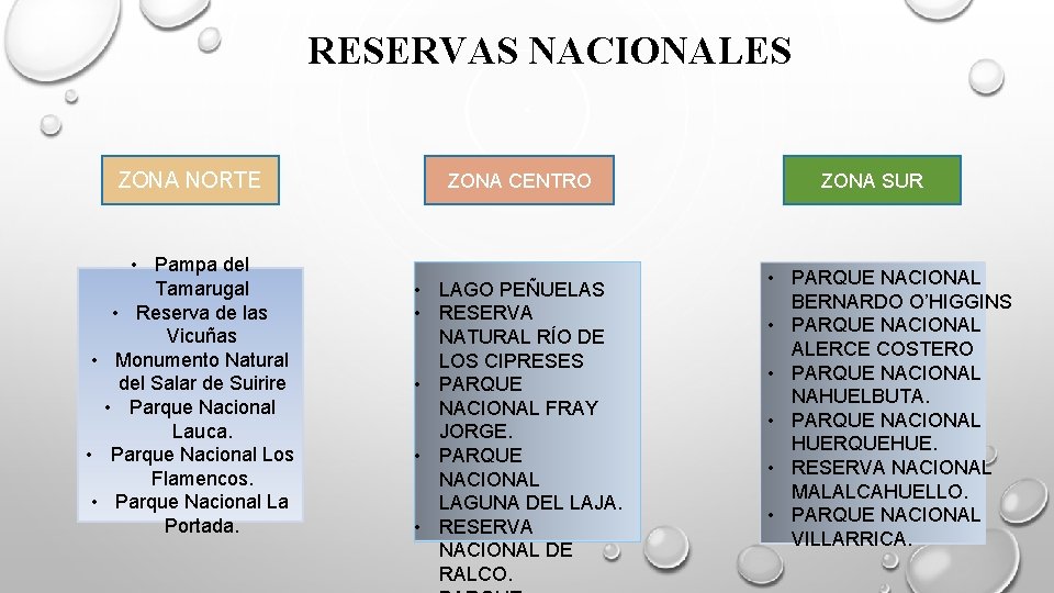 RESERVAS NACIONALES ZONA NORTE • Pampa del Tamarugal • Reserva de las Vicuñas •