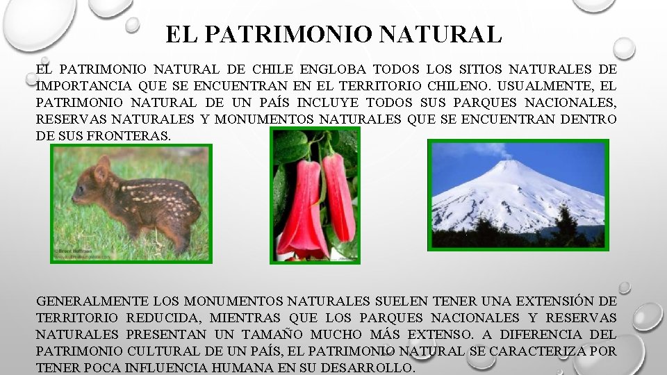 EL PATRIMONIO NATURAL DE CHILE ENGLOBA TODOS LOS SITIOS NATURALES DE IMPORTANCIA QUE SE