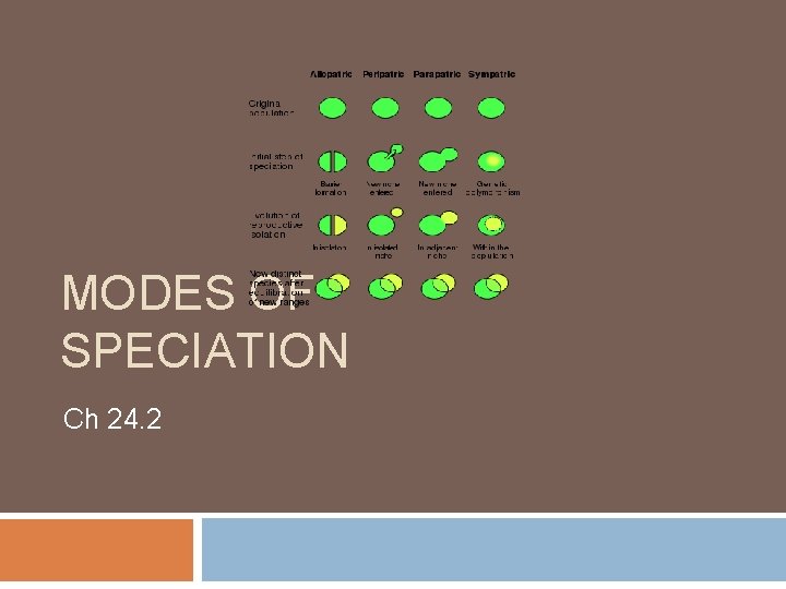 MODES OF SPECIATION Ch 24. 2 