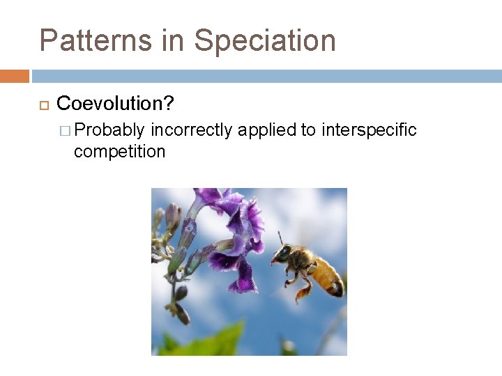 Patterns in Speciation Coevolution? � Probably incorrectly applied to interspecific competition 