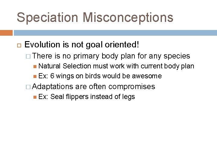 Speciation Misconceptions Evolution is not goal oriented! � There is no primary body plan