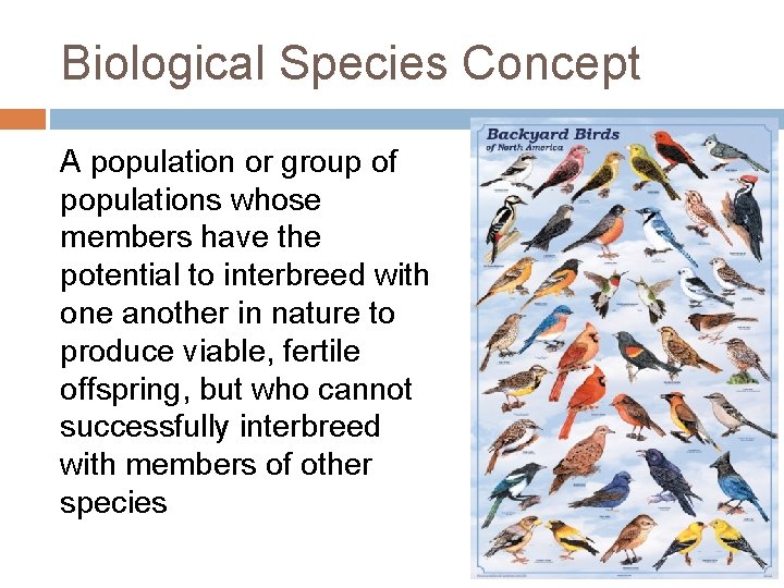 Biological Species Concept A population or group of populations whose members have the potential