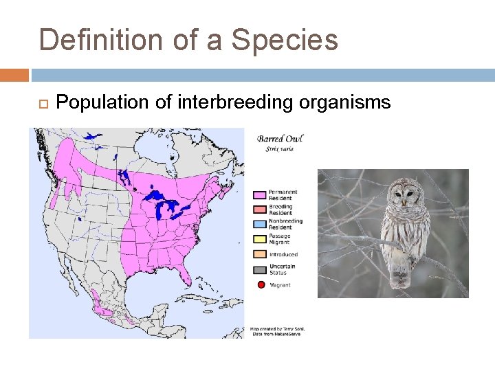 Definition of a Species Population of interbreeding organisms 