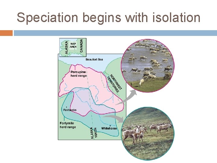 Speciation begins with isolation 