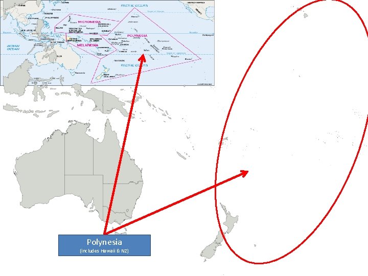 Polynesia (includes Hawaii & NZ) 