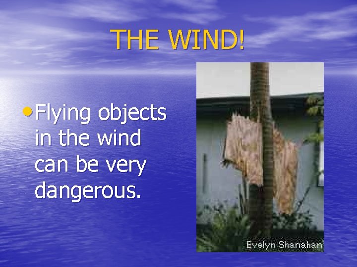 THE WIND! • Flying objects in the wind can be very dangerous. 