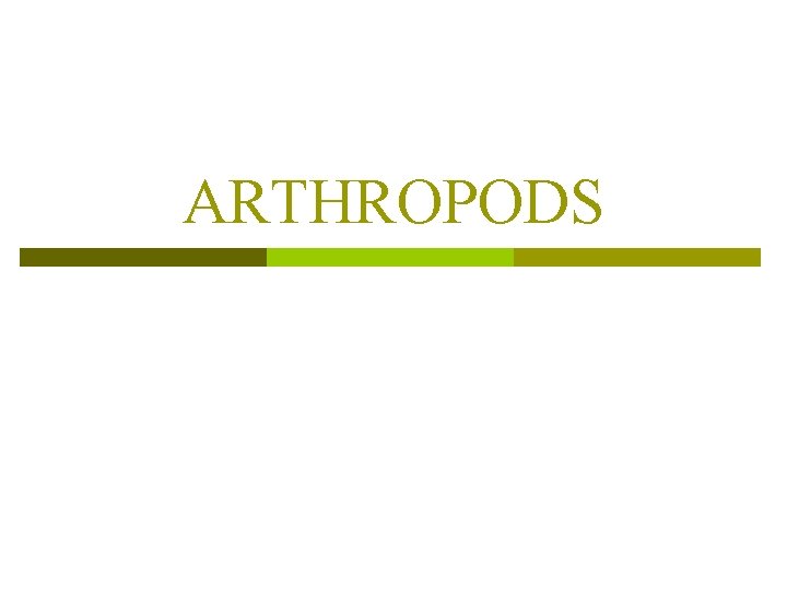 ARTHROPODS 