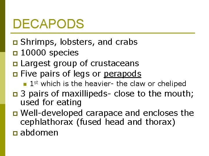 DECAPODS Shrimps, lobsters, and crabs p 10000 species p Largest group of crustaceans p
